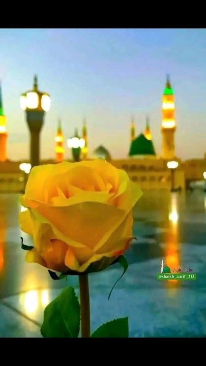 Mashallah 🌹 ️ Allah 🌹 ️ Allah 🌹 ️ ️ Mashallah 🌹 ️ ️fouryoupage Love