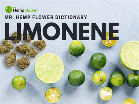 Limonene Terpene Review What Is It And What It Does