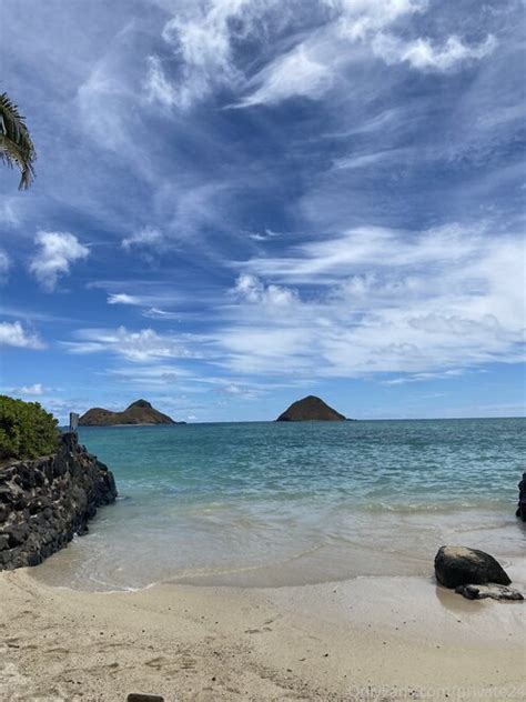 Flowerava Flowerava Private Porn Pic