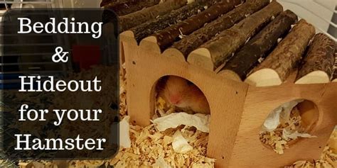 Diy Hamster Bedding