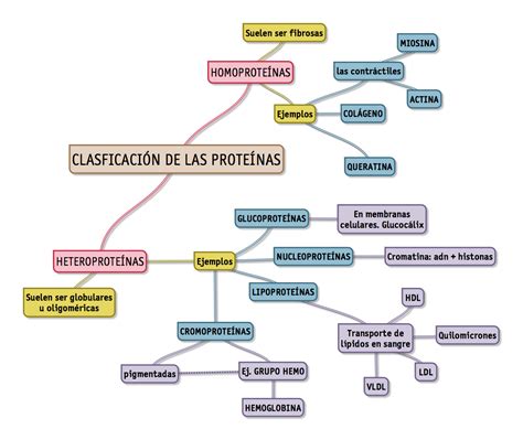 JANO SENSEI CLASIFICACIÓN PROTEÍNAS