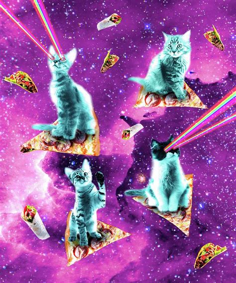 Laser Cats Wallpaper