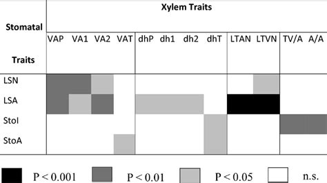 Correlations Of Leaf Mass Per Area Lma With Vascular Bundle Area Of