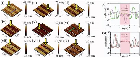 AFM images showing morphological one-dimensional (1D) patterns on a ...