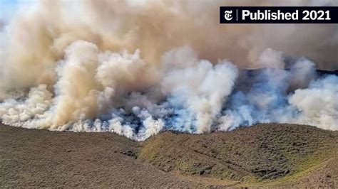 Hawaii Brush Fire Prompts Evacuations - The New York Times