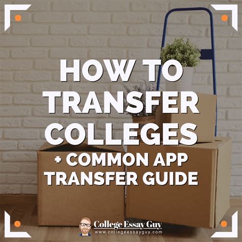 How to Transfer Colleges + Common App Transfer Guide