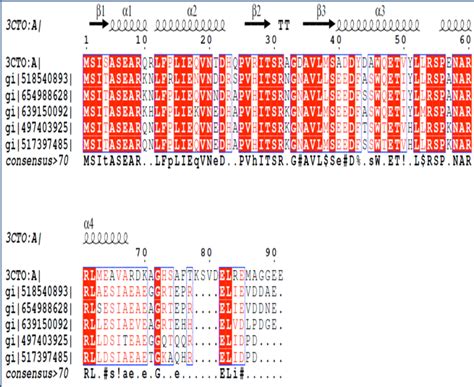 Multiple Sequence Alignment MSA Of Different Antitoxin Proteins With