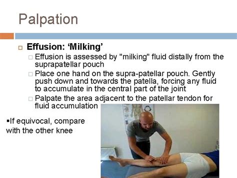 The Examination Of The Knee Echo Sports Medicine