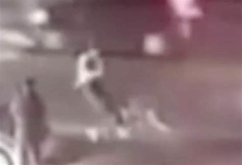 Dog attack: Tibetan Mastiff MAULS woman in China in shock video - Daily Star