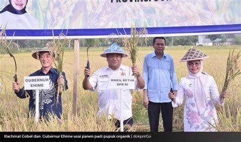 Akarpadinews Gobel Dan Gubernur Ehime Nakamura Panen Padi Pupuk Organik