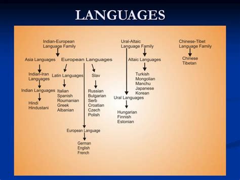 Turkish Language Tree