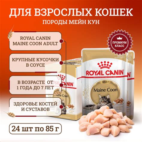 Влажный корм для кошек породы мейн-кун старше 15 месяцев кусочки в ...