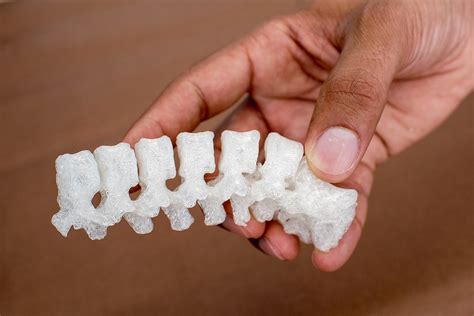 3d Printed Bones