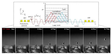 Actuators Free Full Text Microfluidic Jetting Deformation And