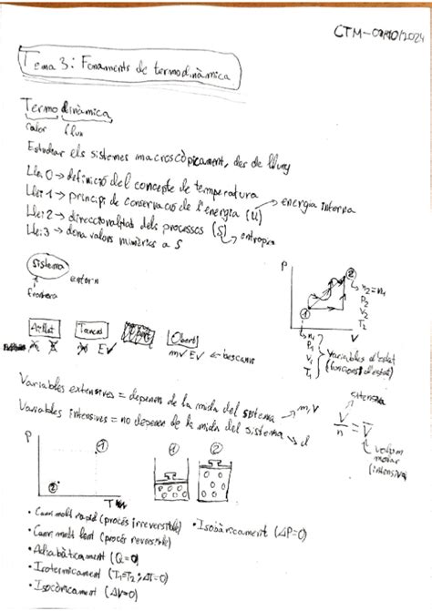 Resolucio Problemes Tema Pdf