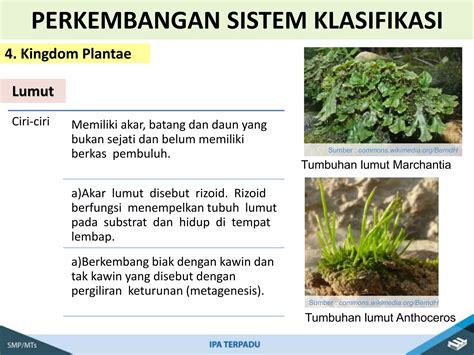 Ipa Kelas Bab Klasifikasi Makhluk Hidup Pptx