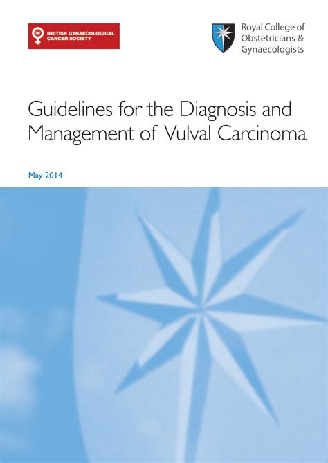 Guidelines For The Diagnosis And Management Of Vulval Carcinoma DocsLib