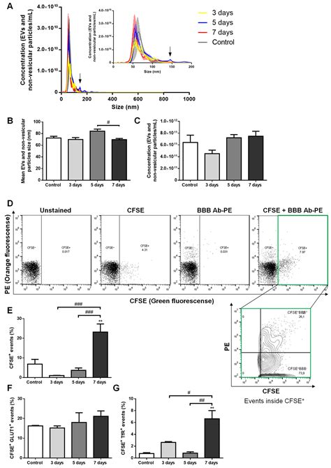 Ijms Free Full Text Micrornas And Extracellular Vesicles As