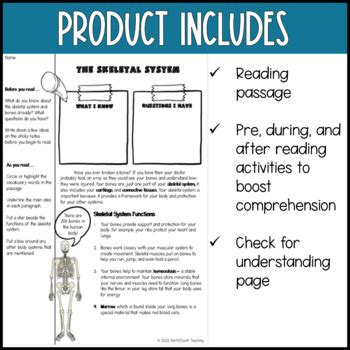 Skeletal System Reading Comprehension Print Digital By North South