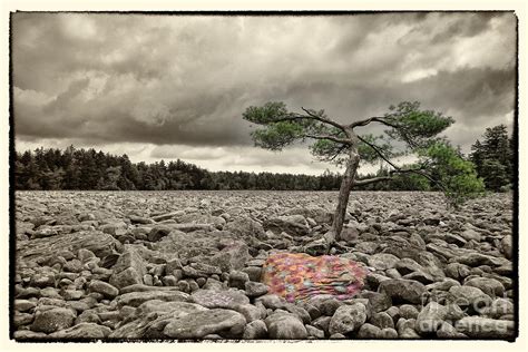 Boulder Field 2 Pocono Mountains Photograph by Jack Paolini