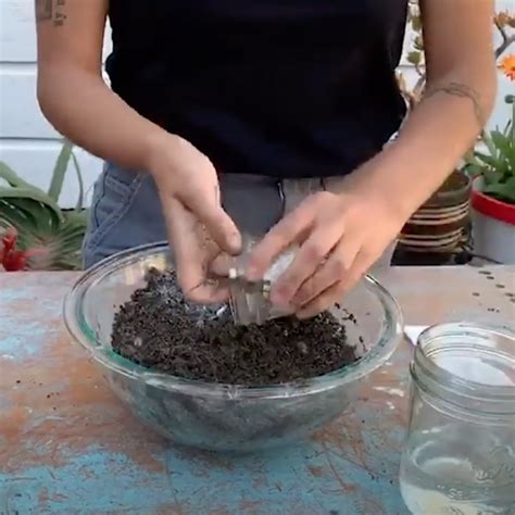 Making Seed Balls | The Edible Schoolyard Project