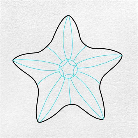 How To Draw A Starfish Helloartsy