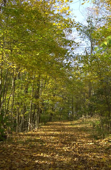 Gr8LakesCamper: Hueston Woods State Park - Good Sam Camping Blog