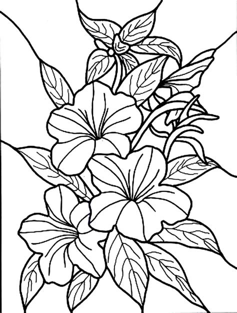 Hibiscus Flower Coloring Page - Team Coloring