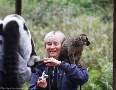 G Ran Bength Foto Vakona Forest Lodge Lemur Island