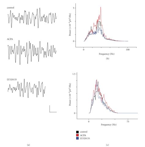 The Effects Of Acpa And Ly320135 On β Band Activity In Mec Layer Ii