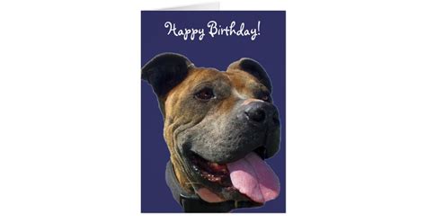 Happy Birthday Pitbull Greeting Card Zazzle