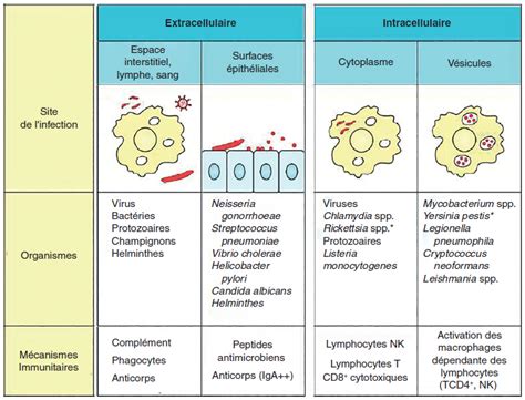 Infections de limmunodéprimé AEMiP