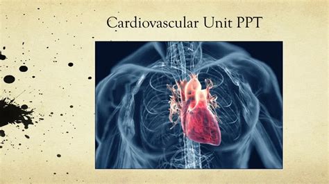 Ppt Cardiovascular Unit Ppt Powerpoint Presentation Free Download