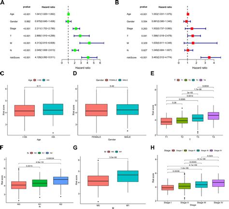 Frontiers A Novel Anoikis Related Gene Prognostic Signature And Its