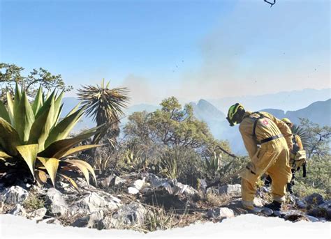 Incendios Forestales En Nl Consumen Más De 800 Hectáreas