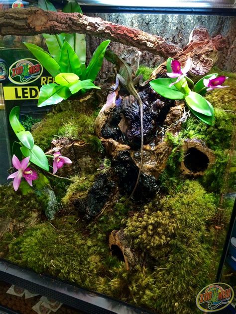 Terrarium for tropical plants (like orchids), lizards, and frogs. DIY ...