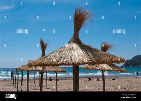 Paguera, Majorca, Spain, the beach of Paguera Stock Photo - Alamy