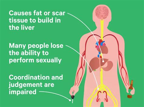 How Alcohol Affects Your Body And Brain As You Drink Business Insider