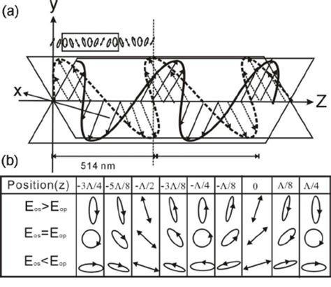 A Schematic Illustration Of The Formation Of Polarization Modulation