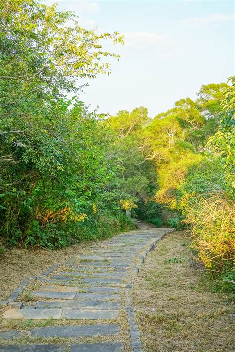 新竹景點推薦｜香山青青草原。北台灣最長溜滑梯、盪鞦韆、生態池、大草原親子旅行 交通停車地圖 欣晴。美食旅遊生活分享