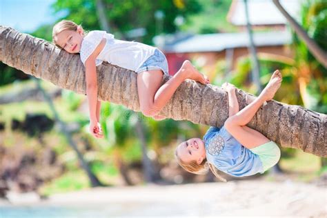 Petites Filles Adorables La Plage Tropicale Ayant L Amusement Sur Le