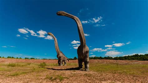 Brontosaurus Dinosaurus Sauropoda Terbesar Yang Pernah Hidup Hot