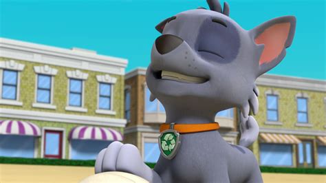 Rocky Gallery Pups Save Queen Cluck Cluck Paw Patrol Wiki Fandom In