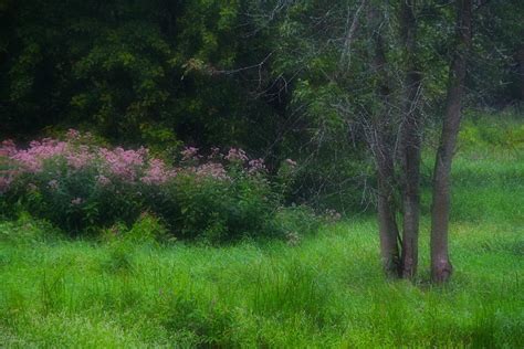 Ontario Landscape 2 Photograph By Jim Vance Fine Art America