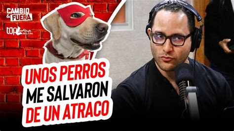 PERROS ME SALVARON DE UN ATRACO NUESTRAS EXPERIENCIAS CON LOS PERROS