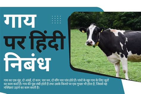 गाय पर निबंध हिंदी में | | 10 Lines Cow Essay in Hindi