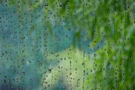 Premium Photo | The scenery outside the window on a rainy day