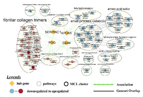 Pathway Network Visualization String Functional Enrichment Was