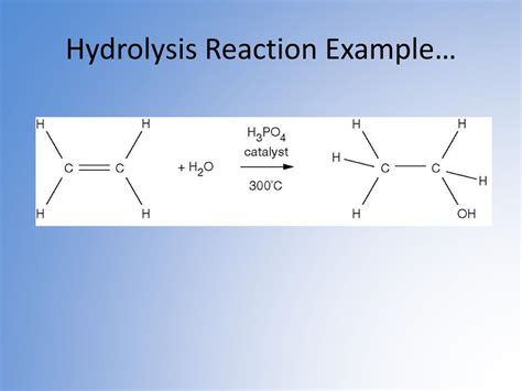 Hydrolysis Reaction Example