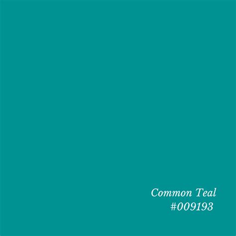 The Truth About Teal: A Color Analysis Revelation — ColorBook